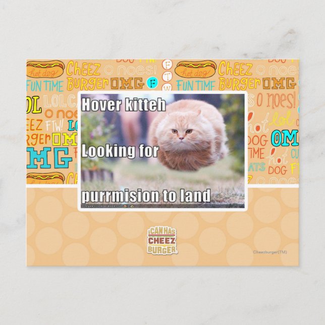 Hover kitteh postcard (Front)