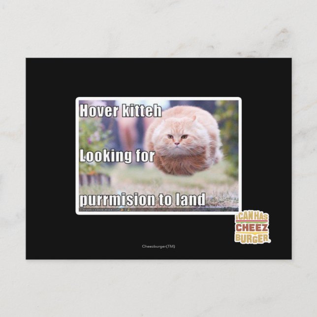 Hover kitteh postcard (Front)