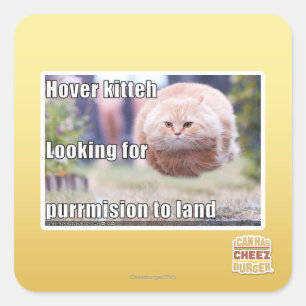 Hover kitteh square sticker