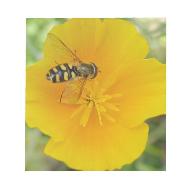 Hoverfly and Californian Poppy Notepad (Front)
