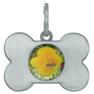 Hoverfly and Californian Poppy Pet Tag