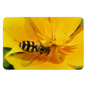 Hoverfly and Flower Premium Magnet