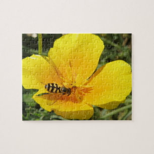 Hoverfly and Flower Puzzle