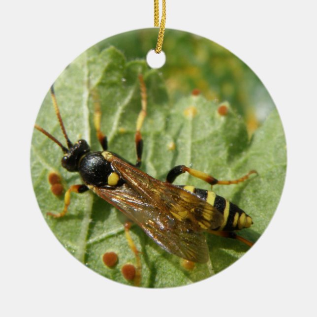Hoverfly Custom Birthday Ceramic Tree Decoration (Front)