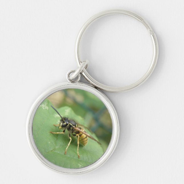 Hoverfly Macro Keychain (Front)