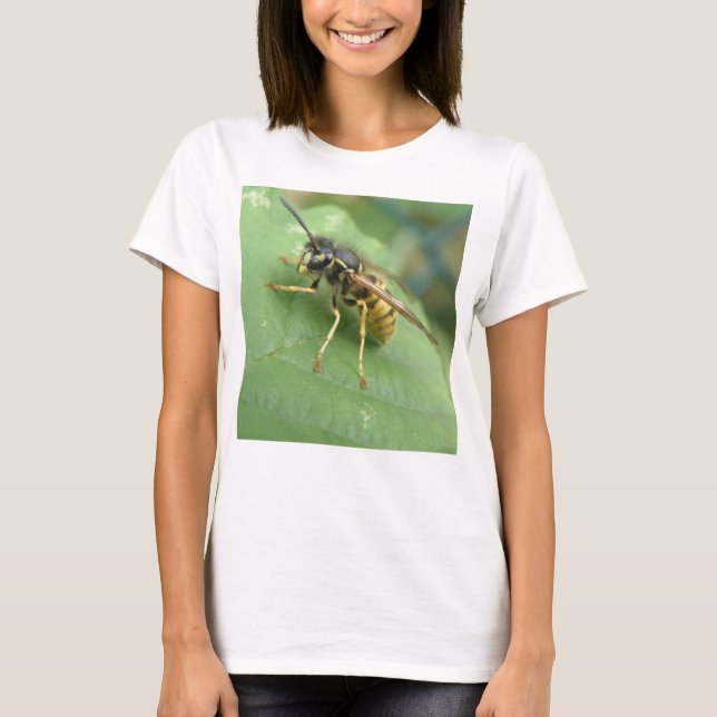 Hoverfly Macro Ladies T Shirt (Front)