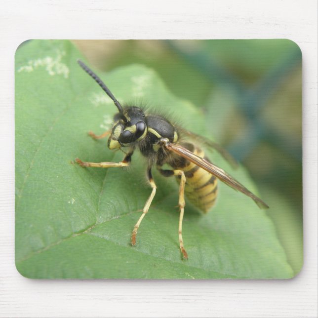 Hoverfly Macro Mousepad (Front)