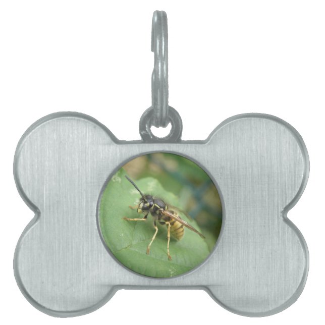 Hoverfly Macro Pet Tag (Front)