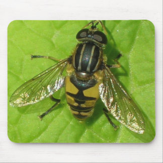 Hoverfly mouse mat