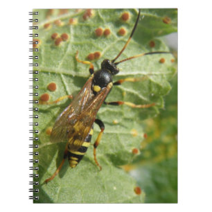 Hoverfly Notebook