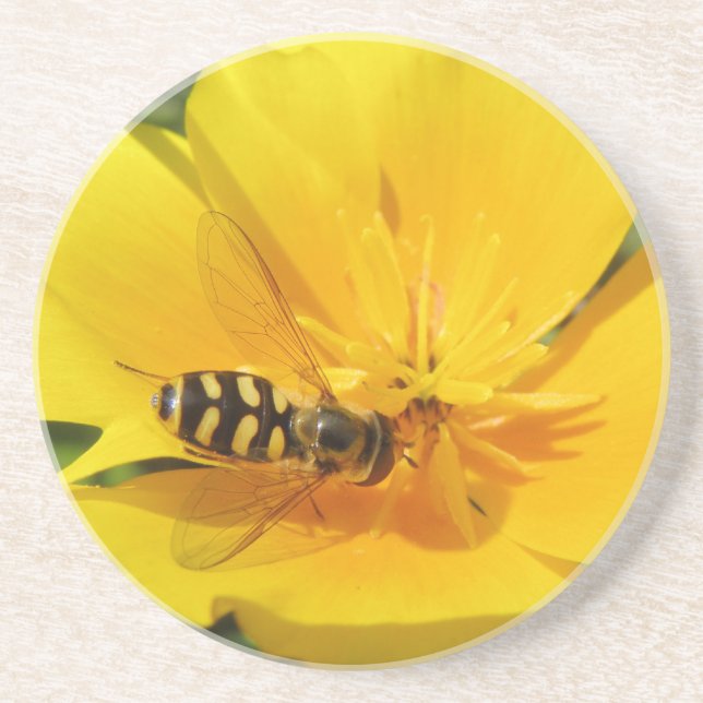Hoverfly on a Flower Coasters (Front)