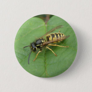 Hoverfly on a Leaf Button
