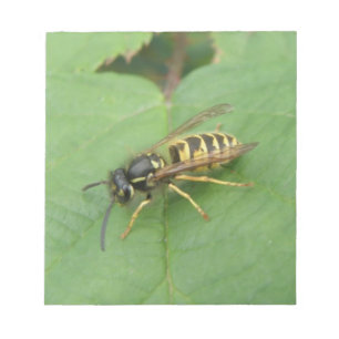 Hoverfly on a Leaf Notepad