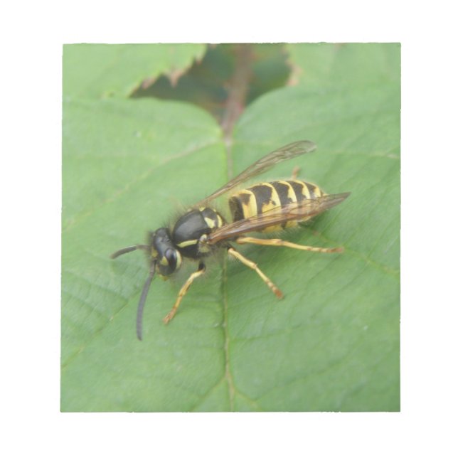 Hoverfly on a Leaf Notepad (Front)