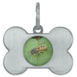 Hoverfly on a Leaf Pet Tag