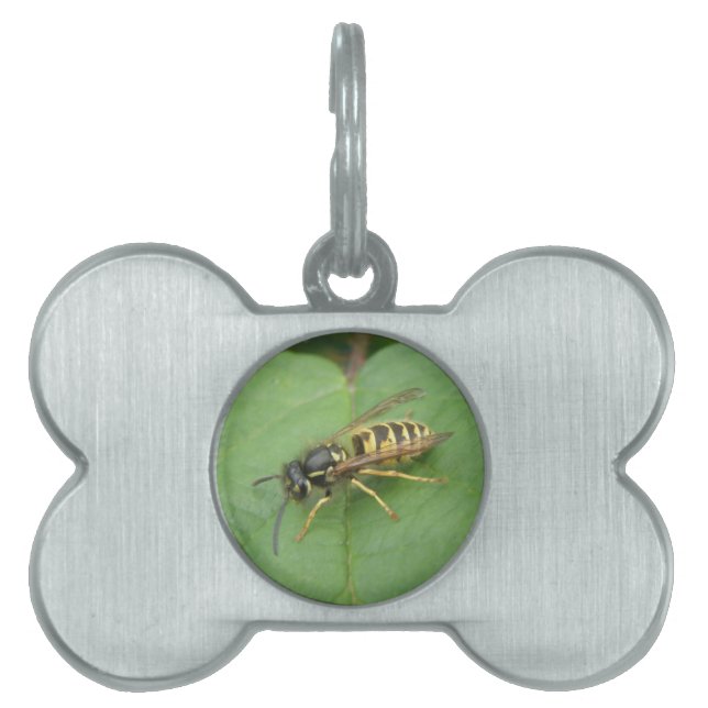 Hoverfly on a Leaf Pet Tag (Front)