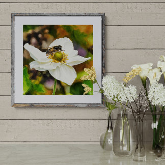 Hoverfly on White Anemone Flower - Pollination in Photo Print