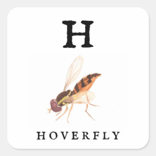 Hoverfly square sticker