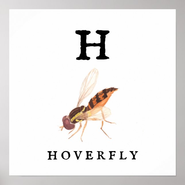 Hoverfly Value Poster Paper (Matte) (Front)
