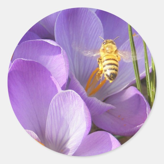 Hovering Bee ~ sticker (Front)