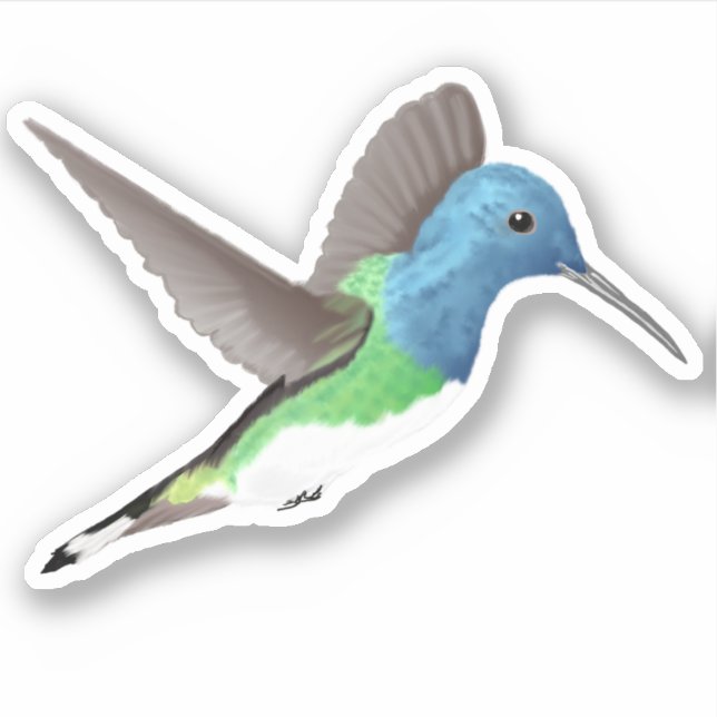 Hovering Jacobin Hummingbird - 1x custom cut. (Front)