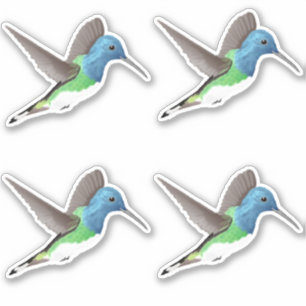 Hovering Jacobin Hummingbird - 4x custom cut.