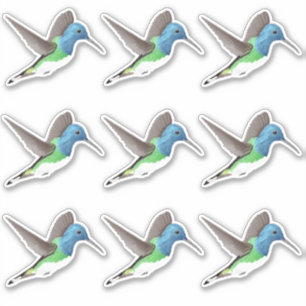 Hovering Jacobin Hummingbird - 9x custom cut.