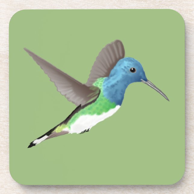 Hovering Jacobin Hummingbird - transparent.   Coaster (Front)
