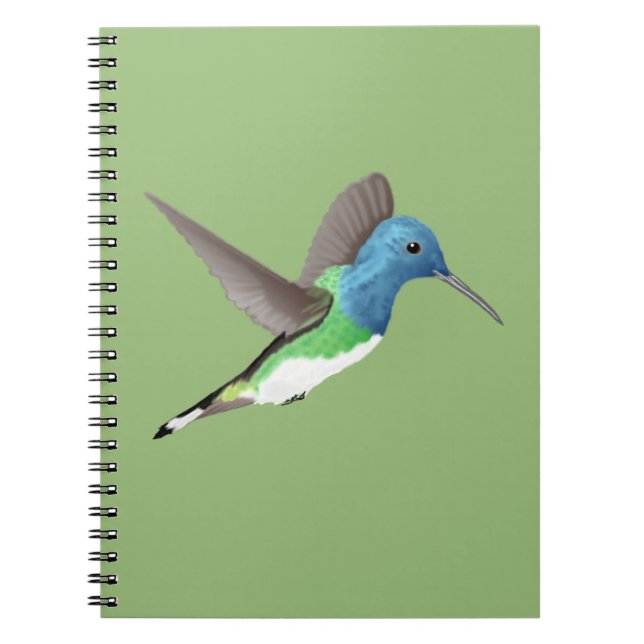 Hovering Jacobin Hummingbird - transparent.  Notebook (Front)