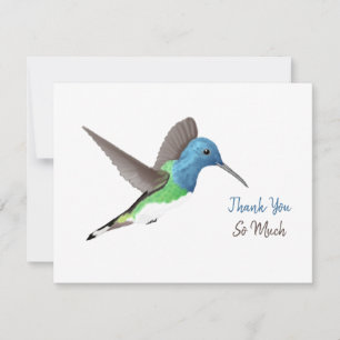 Hovering Jacobin Hummingbird - transparent. Thank You Card