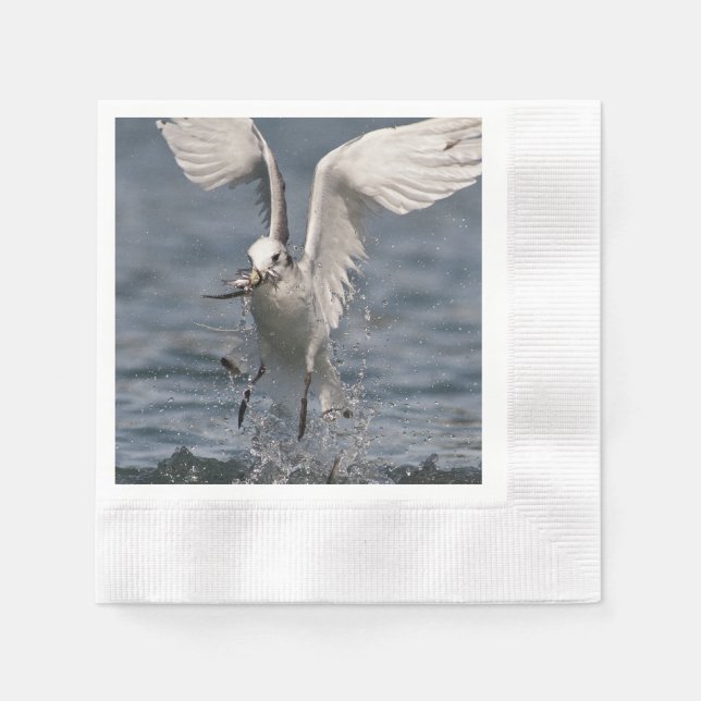 Hovering Kittiwake Napkin (Front)