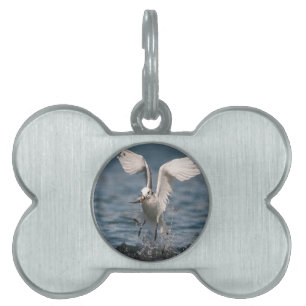 Hovering Kittiwake Pet ID Tag