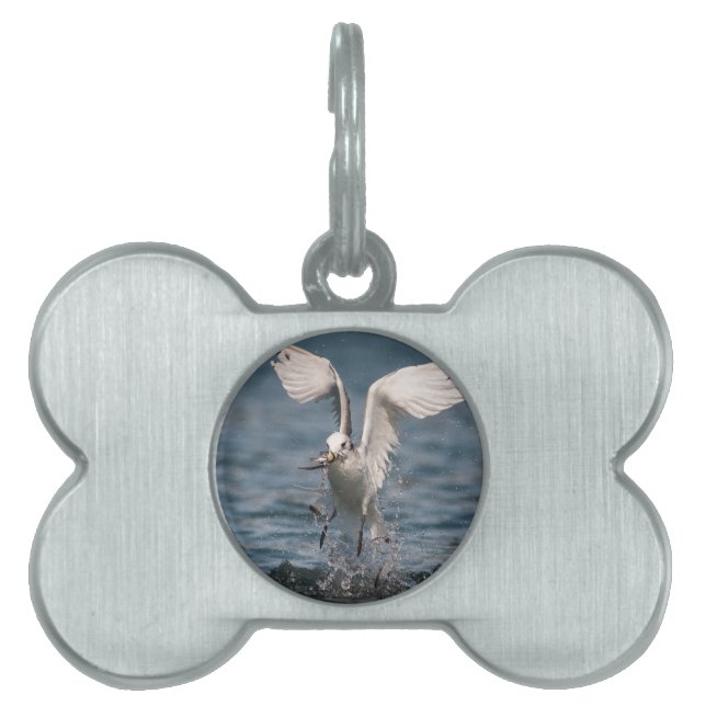 Hovering Kittiwake Pet ID Tag (Front)
