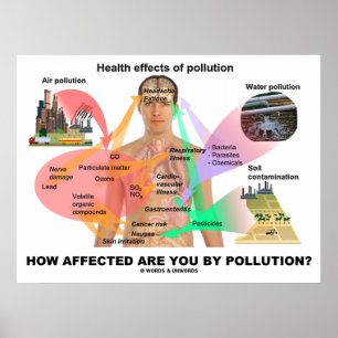 How Affected Are You By Pollution? (Physiology) Poster