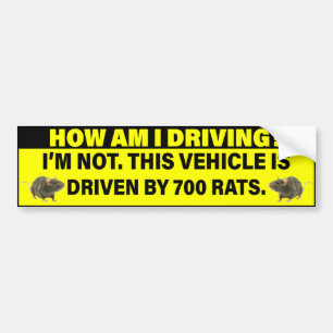 How Am I Driving? 700 Rats Driving  Bumper Sticker