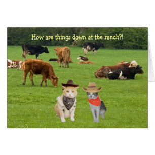 How are things down at the ranch?!