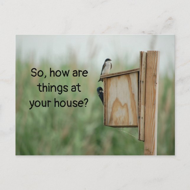 How are things Thinking of You Birds Postcard (Front)