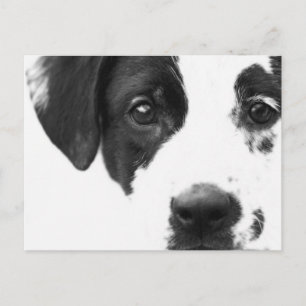 How are you? postcard