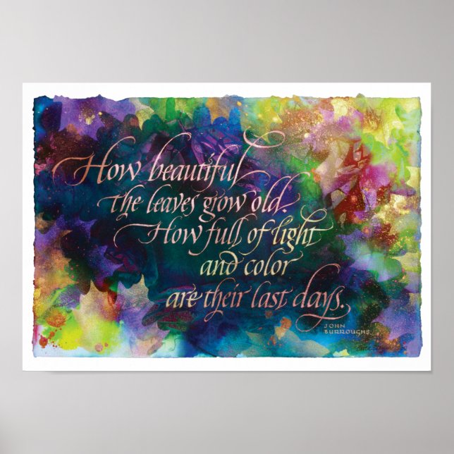 How Beautiful the Leaves, Print, 17"x12" Poster (Front)