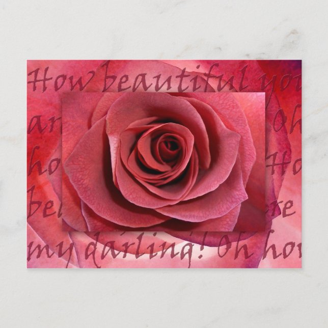 How Beautiful You Are Postcard (Front)