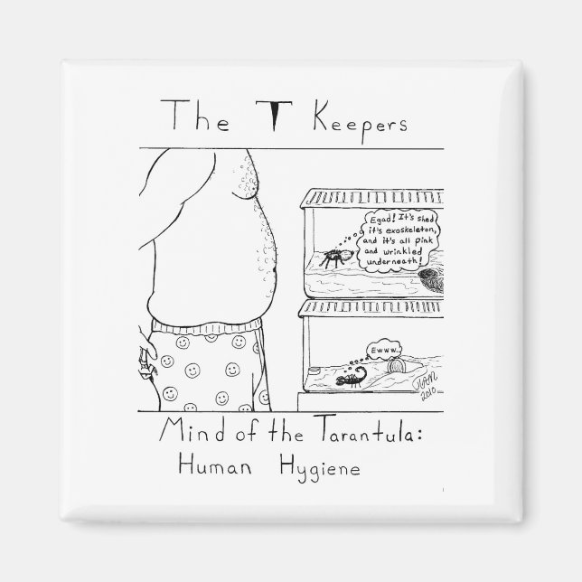 How Bugs See Humans Magnet (Front)