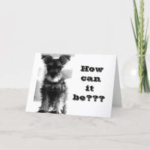 HOW CAN "YOU" BE "70" FUN BIRTHDAY CARD