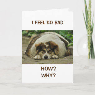 HOW COULD I?  FEEL SO BAD BELATED BIRTHDAY CARD