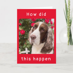 HOW DID THIS HAPPEN???  "HAPPY 12th BIRTHDAY" Card