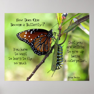 How Does One Become a Butterfly Quote Poster