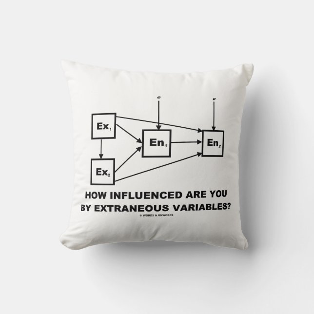 How Influenced Are You By Extraneous Variables? Cushion (Front)