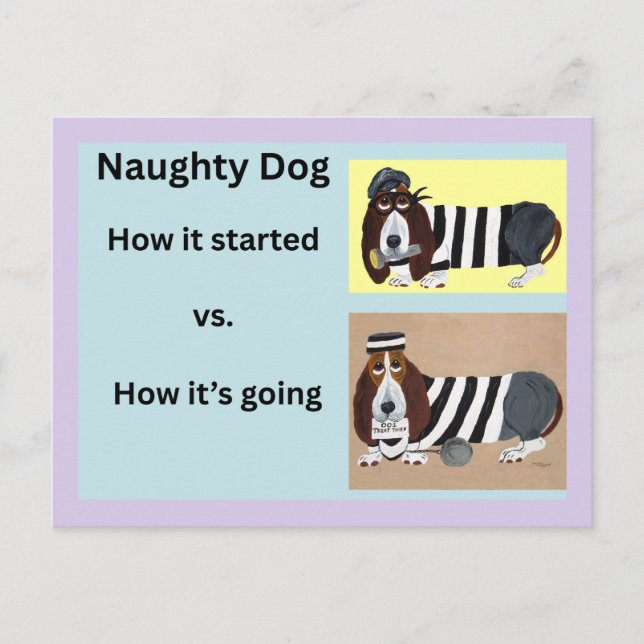  How it started vs How it's going Basset Hound  Postcard (Front)