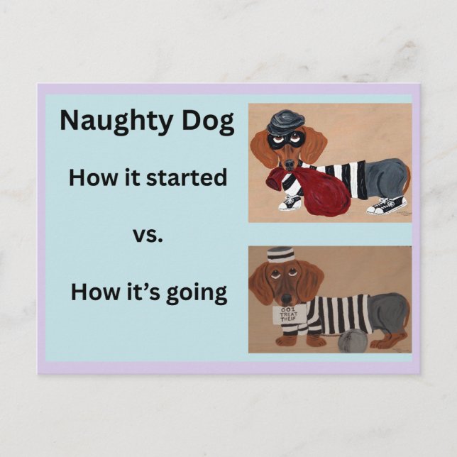 How it started vs How it's going Dachshund  Postcard (Front)