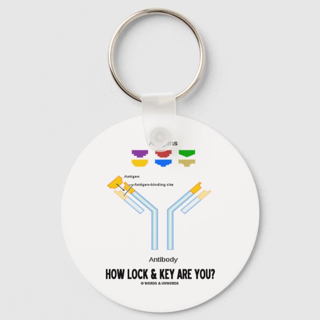 How Lock And Key Are You? (Antigen Antibody) Ring (Front)