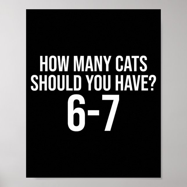 How Many Cats Should You Have 6-7 Funny 67 Meme Ca Poster (Front)